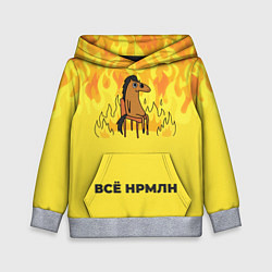 Толстовка-худи детская Все нормально конь в огне, цвет: 3D-меланж