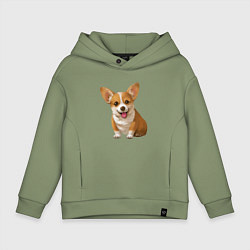 Толстовка оверсайз детская Корги, цвет: авокадо