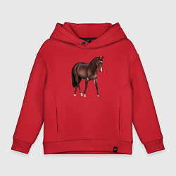 Толстовка оверсайз детская Австралийская пастушья лошадь, цвет: красный