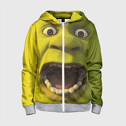 Толстовка на молнии детская Shrek is Yelling, цвет: 3D-меланж