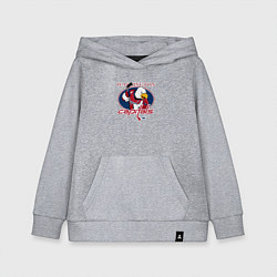 Толстовка детская хлопковая Washington Capitals Hockey, цвет: меланж