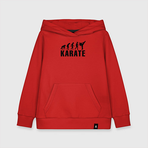 Детская толстовка-худи Karate Evolution / Красный – фото 1