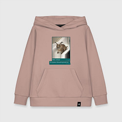 Толстовка детская хлопковая Шлёпа, цвет: пыльно-розовый
