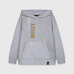 Толстовка детская хлопковая Bully Лого по вертикали, цвет: меланж