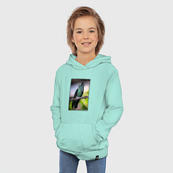 Толстовка детская хлопковая Колибри на ветке, цвет: мятный — фото 2