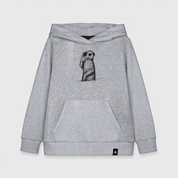 Толстовка детская хлопковая Сурикат смотрит, цвет: меланж