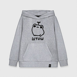 Детская толстовка-худи Милая смешная лягушка штош