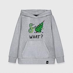 Толстовка детская хлопковая Snake - what, цвет: меланж