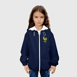Куртка с капюшоном детская Форма сборной Франции ЧМ 2022, цвет: 3D-белый — фото 2