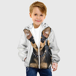 Куртка с капюшоном детская Чихуахуа, цвет: 3D-белый — фото 2