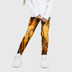Леггинсы для девочки Шкура тигра 2022, цвет: 3D-принт — фото 2