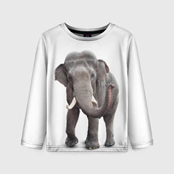 Лонгслив детский Большой слон, цвет: 3D-принт