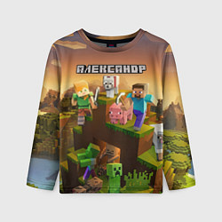Лонгслив детский Александр Minecraft, цвет: 3D-принт