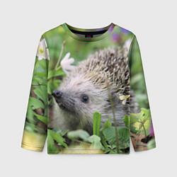 Лонгслив детский Лесной ёжик в траве, цвет: 3D-принт