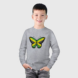 Лонгслив хлопковый детский Бабочка - Ямайка, цвет: меланж — фото 2