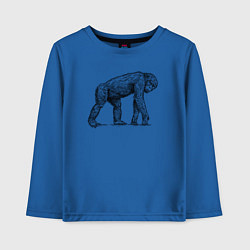 Лонгслив хлопковый детский Шимпанзе гуляет, цвет: синий
