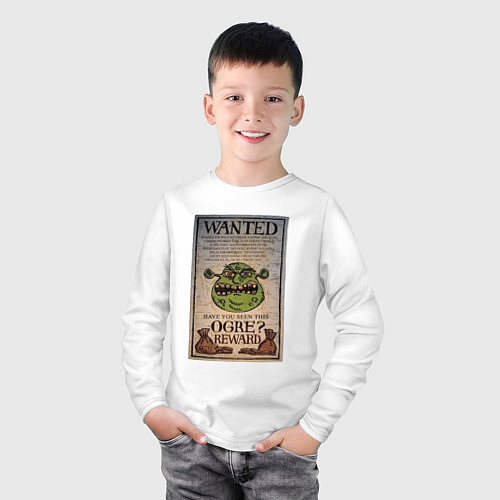 Детский лонгслив Разыскивается огр / Белый – фото 3