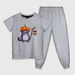 Пижама хлопковая детская Енот, цвет: меланж