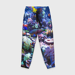 Детские брюки Коралловые рыбки