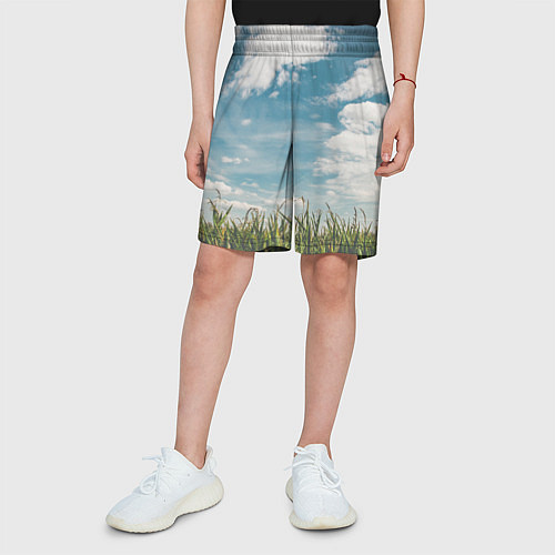 Детские шорты Небушко и полюшко / 3D-принт – фото 3