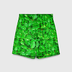 Шорты детские Зелёные листья - текстура, цвет: 3D-принт