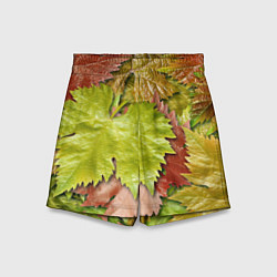 Шорты детские Осенние листья клёна - паттерн, цвет: 3D-принт