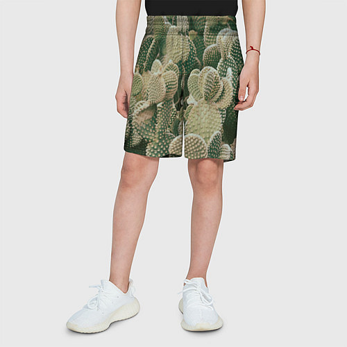 Детские шорты Поле кактусов / 3D-принт – фото 3