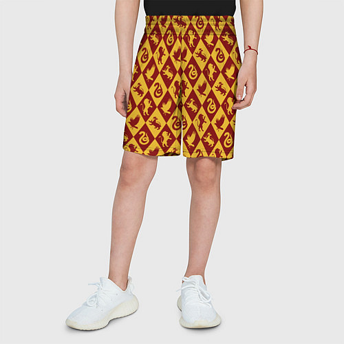 Детские шорты Гарри Поттер факультеты / 3D-принт – фото 3