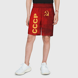 Шорты детские Советский союз символика, цвет: 3D-принт — фото 2
