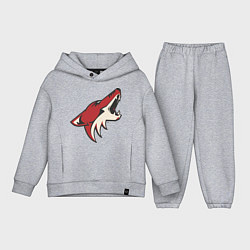 Детский костюм оверсайз Phoenix Coyotes, цвет: меланж