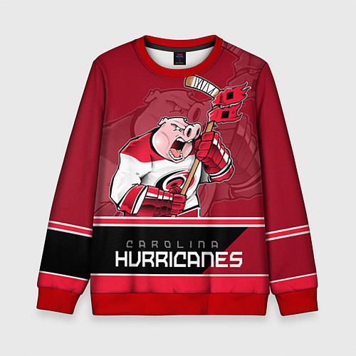 Детский свитшот Carolina Hurricanes / 3D-Красный – фото 1