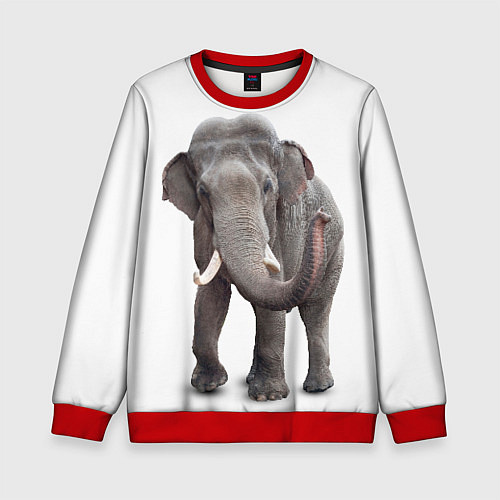 Детский свитшот Большой слон / 3D-Красный – фото 1
