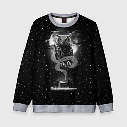 Свитшот детский Ночная сова, цвет: 3D-меланж