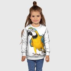 Свитшот детский Попугай ара, цвет: 3D-белый — фото 2