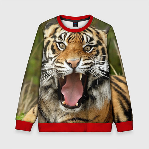 Детский свитшот Удивленный тигр / 3D-Красный – фото 1