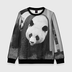 Свитшот детский Большая панда, цвет: 3D-черный