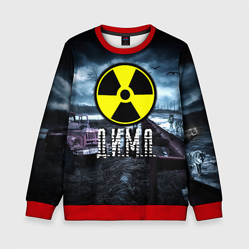 Детский свитшот S.T.A.L.K.E.R: Дима / 3D-Красный – фото 1
