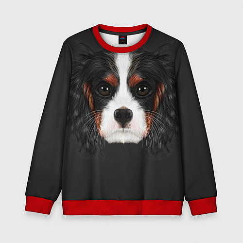 Детский свитшот Cavalier King Charles / 3D-Красный – фото 1