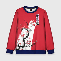 Свитшот детский Сакура Айкидо, цвет: 3D-синий