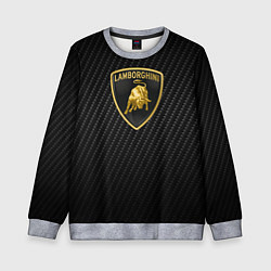 Свитшот детский Lamborghini logo n carbone, цвет: 3D-меланж