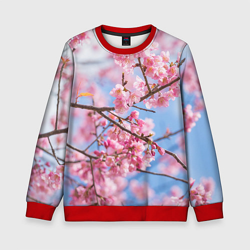 Детский свитшот Ветки Сакуры / 3D-Красный – фото 1