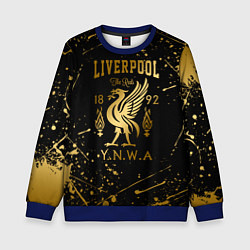 Свитшот детский LIVERPOOL ЛИВЕРПУЛЬ, цвет: 3D-синий