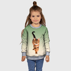 Свитшот детский Короткошерстный кот идет, цвет: 3D-меланж — фото 2