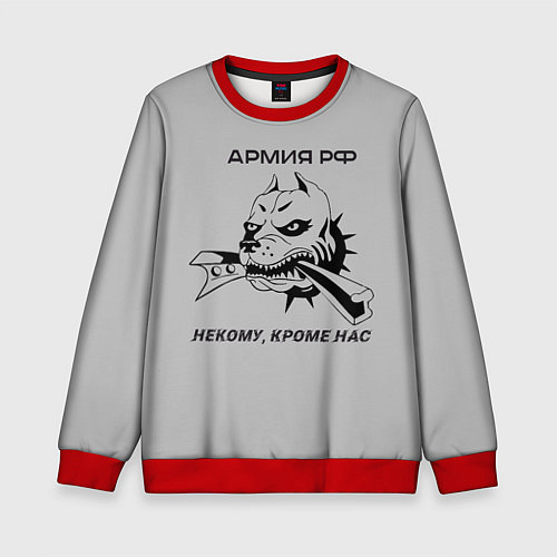 Детский свитшот ЖДВ ВС РФ / 3D-Красный – фото 1