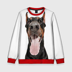 Свитшот детский Доберман Doberman, цвет: 3D-красный