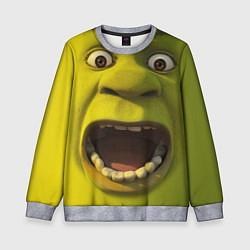 Свитшот детский Shrek is Yelling, цвет: 3D-меланж