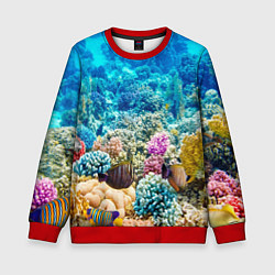 Свитшот детский Риф, цвет: 3D-красный