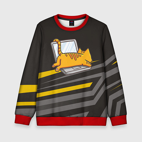 Детский свитшот Котик лежит на ноутбуке / 3D-Красный – фото 1