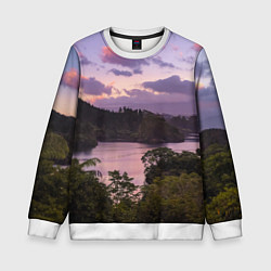 Детский свитшот Пейзаж вечерней реки и леса