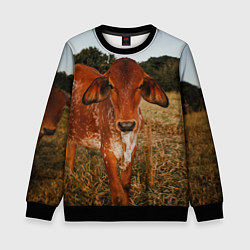 Детский свитшот Коровка на поле